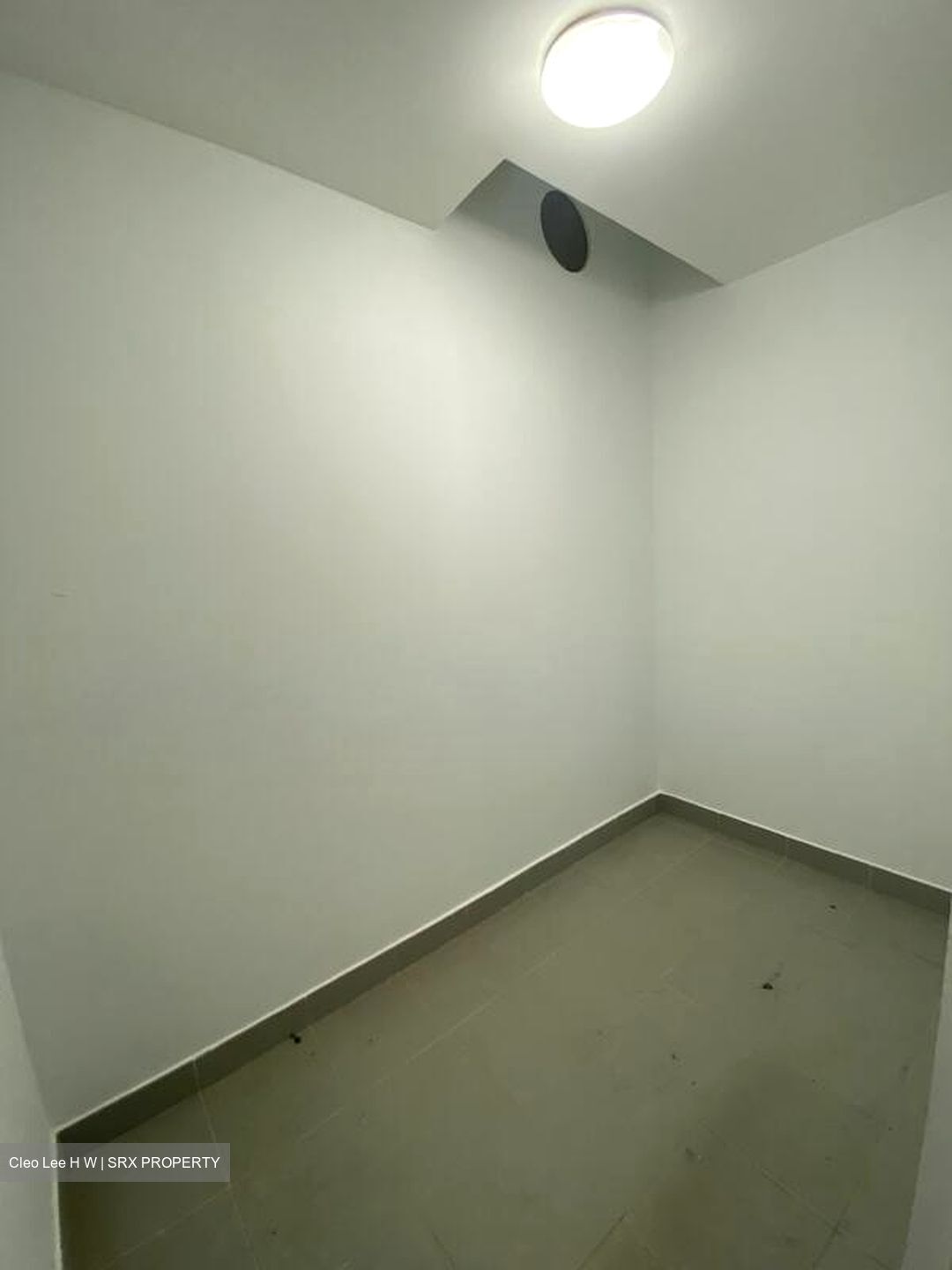 Residences @ Evelyn (D11), Condominium #582349001